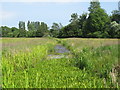 TM4274 : Ditch in Church Farm Nature Reserve, Thorington by Roger Jones