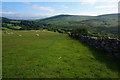 Bridleway to Dartmeet