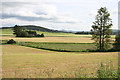 View from Auchmill to Kinnoir