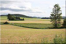 NJ5544 : View from Auchmill to Kinnoir by Anne Burgess