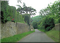 West Burton Lane passes Cookes House