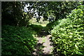 Leeds Country Way towards Scarcroft