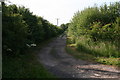 Track to Stockborough Farm