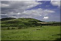 Grassland at Glen