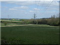 Grazing and pylon, Tibshelf Wharf