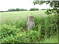 Triangulation pillar at a field