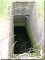 TF9905 : Flooded WW2 air raid shelter by Evelyn Simak
