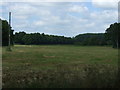 Farmland off West Leake Lane