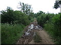 Muddy track (footpath) off Bunny Lane