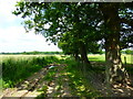 Footpath going north off Poyle Road