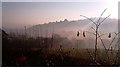 Launceston Castle in the mist