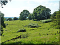 Unstable hillside, Bushy Hill