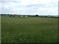 Farmland, Keyworth Wolds