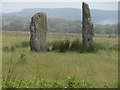NR7461 : Standing stones at Carse by sylvia duckworth