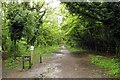 Footpath through woods to Newtown