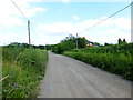 Looking east on West Flexford Lane with cottage on right