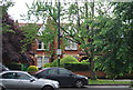 Houses on St Mary