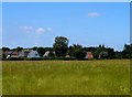 Thatched cottages near Ugley