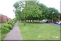 Green space and trees in Kings Hedges