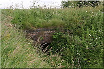 TF4874 : Railway bridge - over a small unnamed drain by Chris