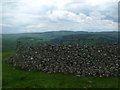 NT8421 : Sheepfold on Hairny Law above Sourhope, Scottish Borders by ian shiell