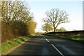 Cuckoo Lane to Eynsham