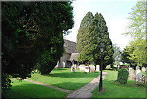 TQ2122 : Churchyard, St Peter's by N Chadwick