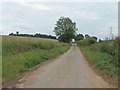 Narrow road near North Hill Cottage