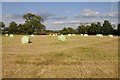 SO8742 : Silage bales on the Glebe Field by Philip Halling