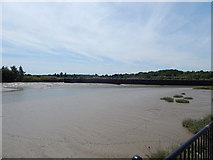 TM0321 : River Colne from West Quay, Wivenhoe by Hamish Griffin