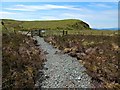NS3482 : Path to Craigendoran by Lairich Rig