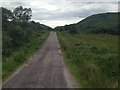 NM6751 : Minor road near Loch Arienas by Steven Brown
