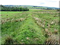 NY7784 : Earthbank along line of bridleway below Black Hill by Andrew Curtis