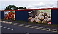 SO8171 : Two advertising posters for Tesco on fence, Severn Road, Stourport-on-Severn by P L Chadwick