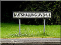 SU3816 : Nutshalling Avenue sign by Geographer