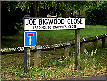 SU3716 : Joe Bigwood Close sign by Geographer