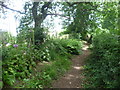 Footpath near Great Dixter