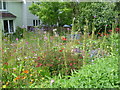 Wildflower garden in Northiam