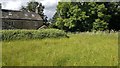 Meadow below Alders Farm