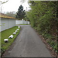 Rock-lined road, Llwydcoed