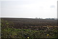 Ploughed field by Stone Street