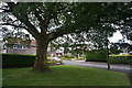 Arbour Close, off Brocklehurst Way, Macclesfield