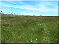 Path across the Isle of Portland