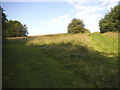 Whitings Hill open space, Barnet