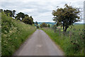 Road near Auchtenny