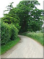 Bend On Country Lane