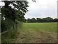 Footpath to Burton