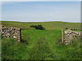 Looking west to Wormhill Moor