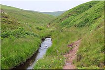 NT1556 : Path alongside the River North Esk by Jim Barton