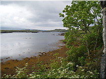 NG2449 : Loch Dunvegan by Douglas Nelson